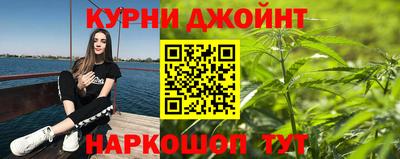 прущие грибы Железноводск