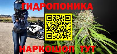 прущие грибы Железноводск