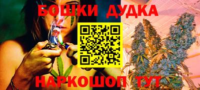 прущие грибы Железноводск